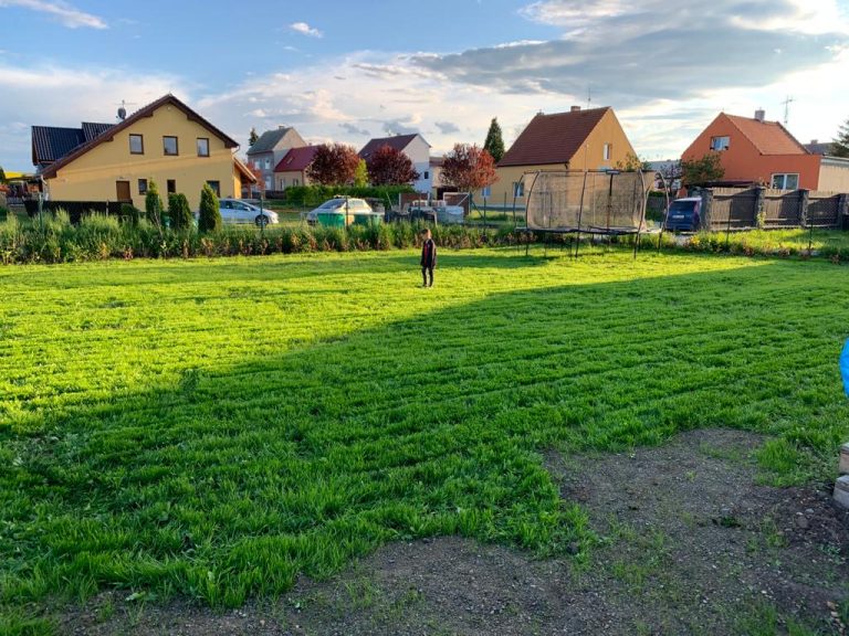 fertilizing a new lawn