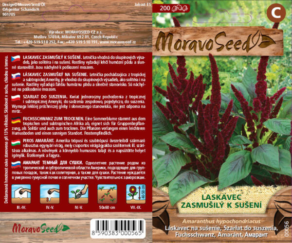 Láskavec - Amaranthus hypochondriacus - Červený semienka