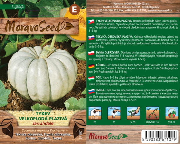 Tekvica veľkoplodá - Cucurbita maxima - JARRAHDALE - plazivá semienka