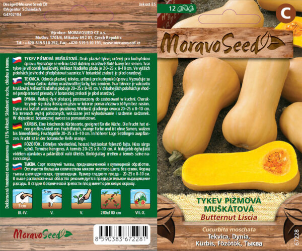 Tekvica pižmová - Cucurbita moschata - BUTTERNUT LISCIA - muškátová semienka