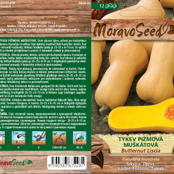 Tekvica pižmová - Cucurbita moschata - BUTTERNUT LISCIA - muškátová semienka