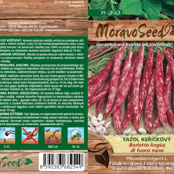 Fazuľa keríčková - Phaseolus vulgaris - BORLOTTO L.DI FUOCO NANO - melírovaná semienka