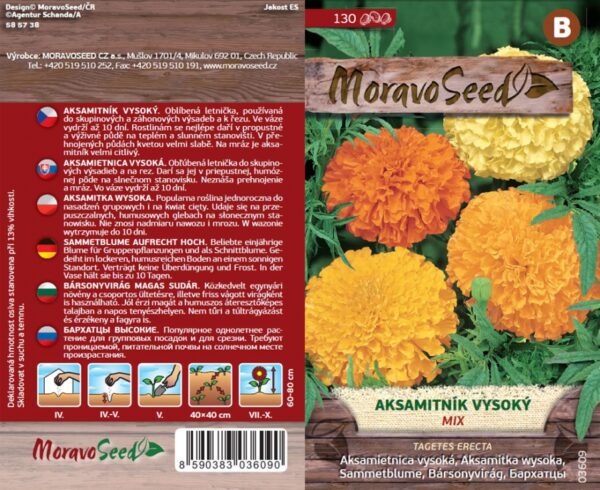 Aksamietnica vzpriamená - Tagetes erecta semienka