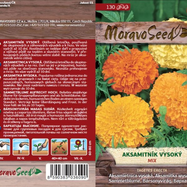 Aksamietnica vzpriamená - Tagetes erecta semienka