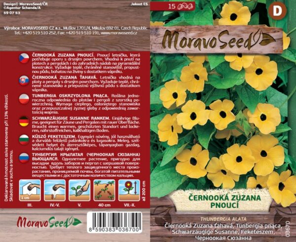 Čiernooká Zuzana - Thunbergia alata - Ťahavá semienka