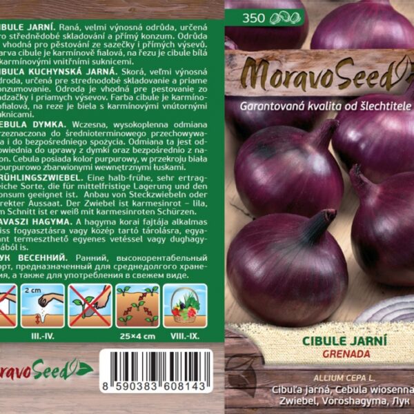 Cibuľa jarná - Allium cepa L. - Grenada - červená semienka