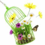 cage with grass flowers and insects isolated on white copy 279x300 4